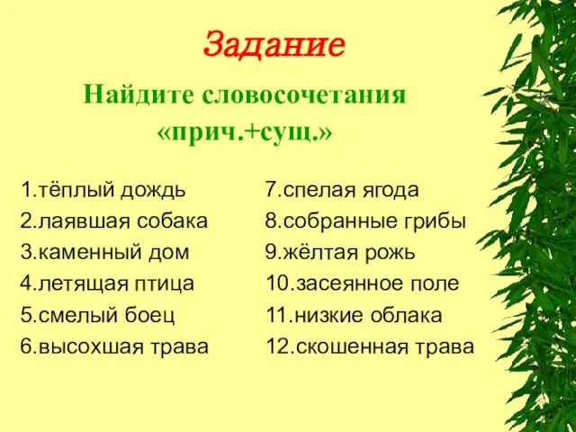 Задание 1.тёплый дождь 2.лаявшая собака 3.каменный дом 4.летящая птица 5.смелый боец 6.высохшая