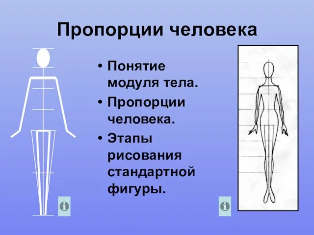 Пропорции человека Понятие модуля тела. Пропорции человека. Этапы рисования стандартной фигуры.