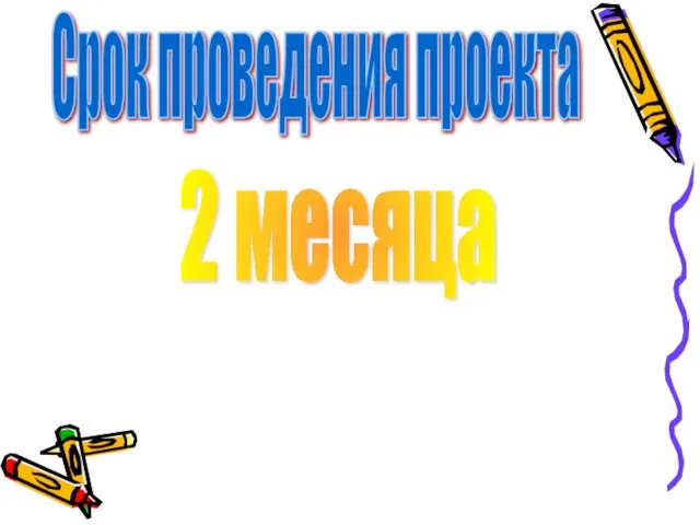 Срок проведения проекта 2 месяца