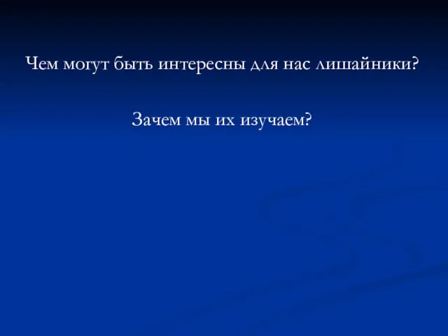 Чем могут быть интересны для нас лишайники? Зачем мы их изучаем?