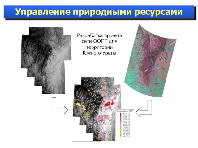 Разработка проекта сети ООПТ для территории Южного Урала Управление природными ресурсами