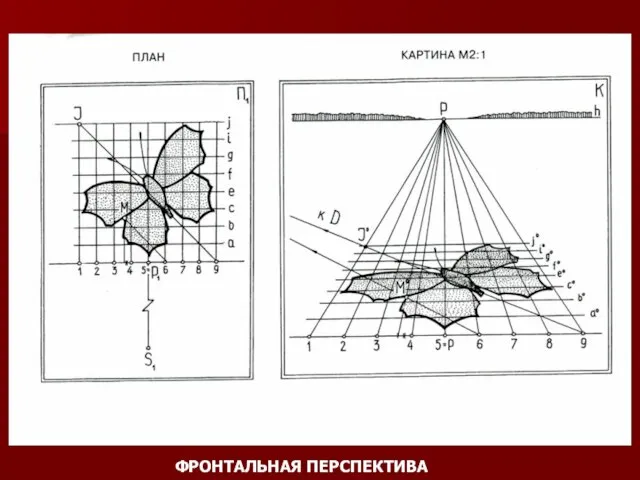 ФРОНТАЛЬНАЯ ПЕРСПЕКТИВА