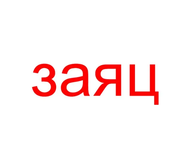 заяц