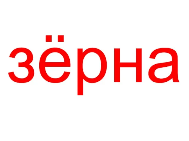 зёрна