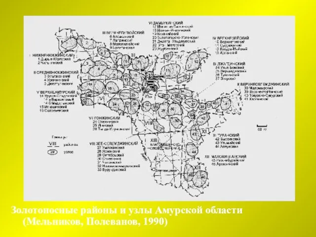 Золотоносные районы и узлы Амурской области (Мельников, Полеванов, 1990)