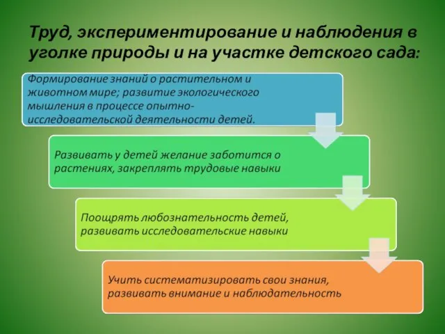 Труд, экспериментирование и наблюдения в уголке природы и на участке детского сада: