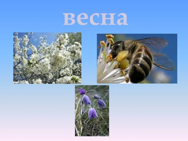 весна