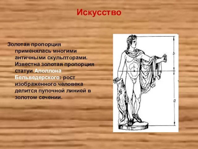 Искусство Золотая пропорция применялась многими античными скульпторами. Известна золотая пропорция статуи Аполлона