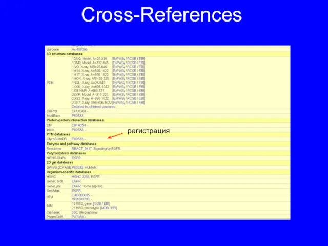 Cross-References регистрация