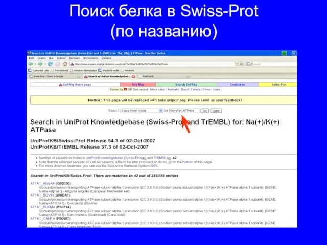 Поиск белка в Swiss-Prot (по названию)