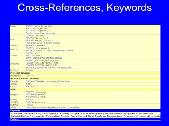Cross-References, Keywords