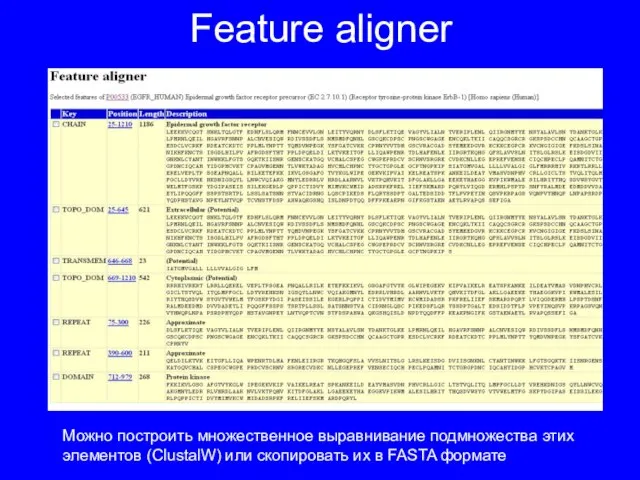 Feature aligner Можно построить множественное выравнивание подмножества этих элементов (ClustalW) или скопировать их в FASTA формате