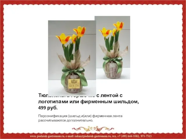 Тюльпаны в горшочке с лентой с логотипами или фирменным шильдом, 499 руб.
