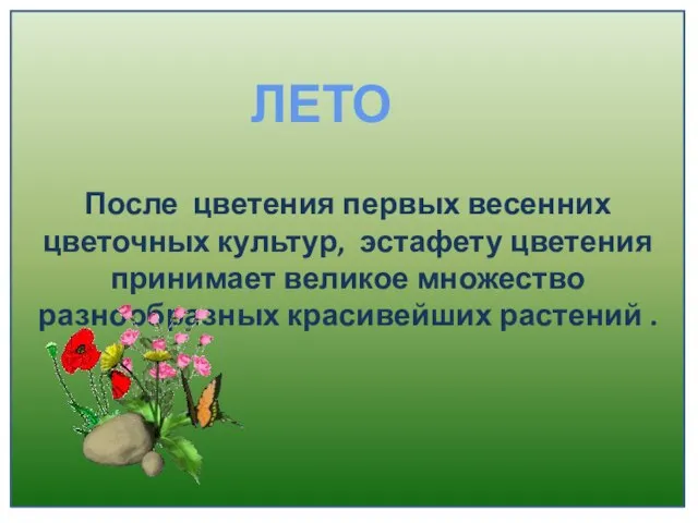 После цветения первых весенних цветочных культур, эстафету цветения принимает великое множество разнообразных красивейших растений . ЛЕТО