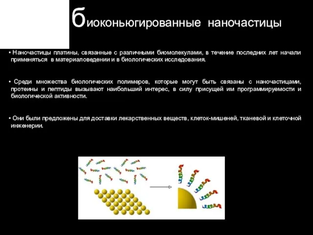 Наночастицы платины, связанные с различными биомолекулами, в течение последних лет начали применяться