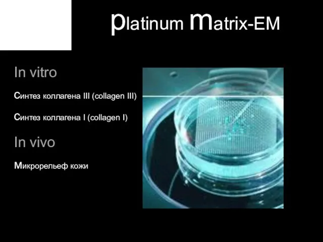 platinum matrix-EM In vitro синтез коллагена III (collagen III) синтез коллагена I