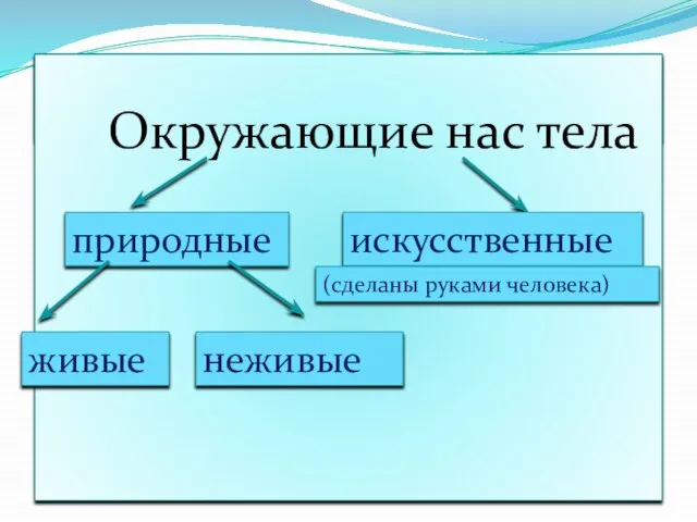 Окружающие нас тела природные искусственные живые неживые (сделаны руками человека)