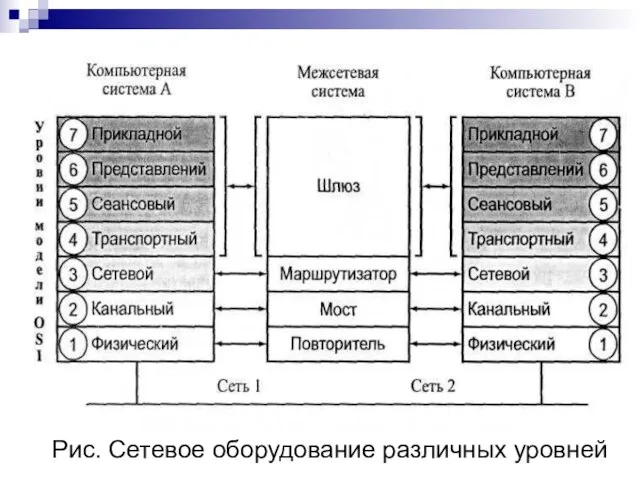 Рис. Сетевое оборудование различных уровней