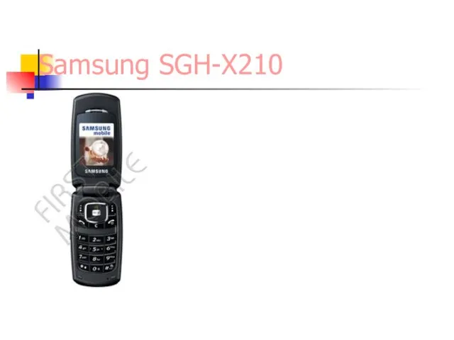 Samsung SGH-X210