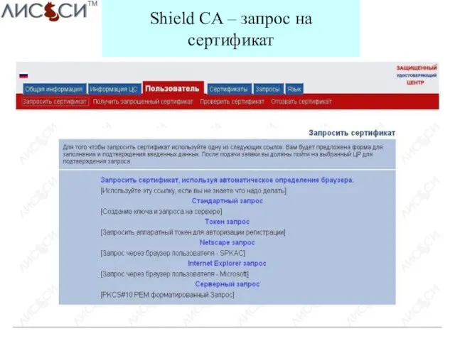 Shield CA – запрос на сертификат