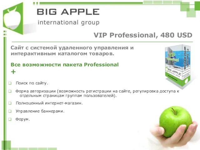 VIP Professional, 480 USD Сайт с системой удаленного управления и интерактивным каталогом