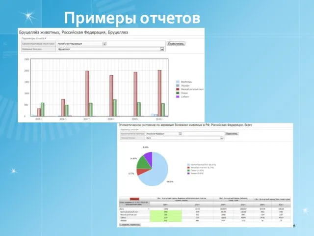 Примеры отчетов