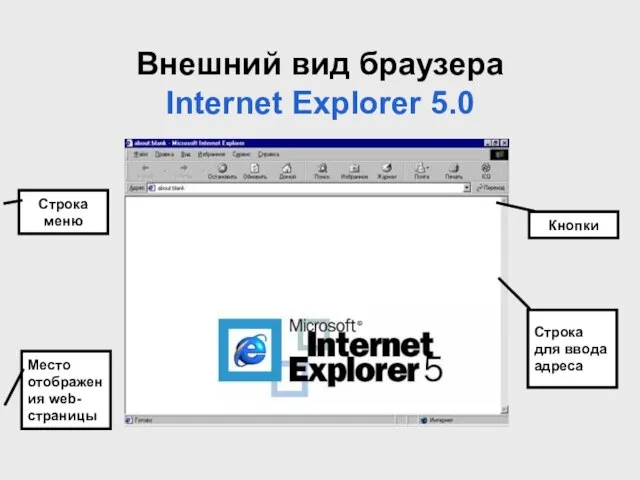 Внешний вид браузера Internet Explorer 5.0 Строка меню Кнопки Место отображения web-страницы Строка для ввода адреса