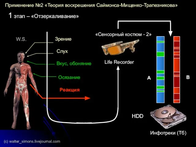 Зрение Слух Вкус, обоняние Осязание Реакция «Сенсорный костюм - 2» Life Recorder