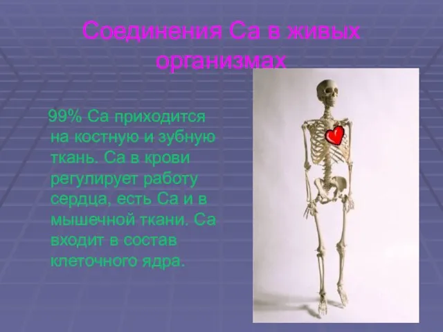 Соединения Са в живых организмах 99% Са приходится на костную и зубную