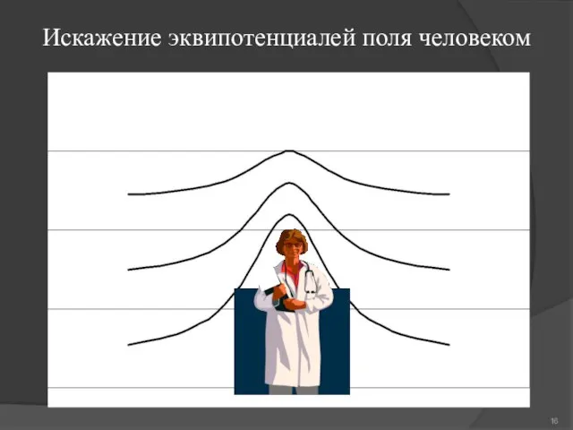 Искажение эквипотенциалей поля человеком