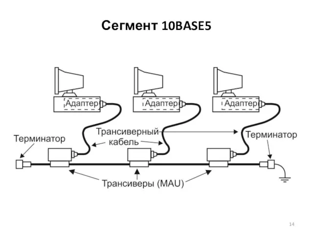 Сегмент 10BASE5