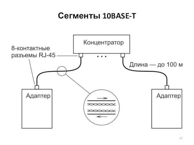 Сегменты 10BASE-T