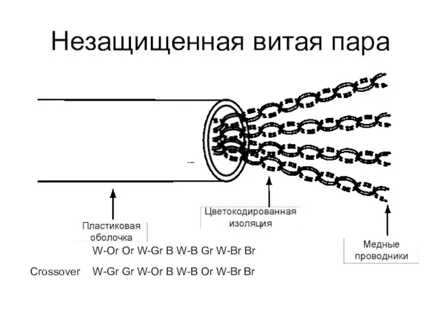 Незащищенная витая пара W-Or Or W-Gr B W-B Gr W-Br Br Crossover