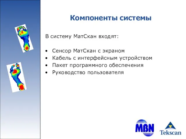 Компоненты системы В систему МатСкан входят: Сенсор МатСкан с экраном Кабель с