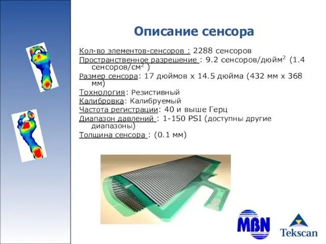 Описание сенсора Кол-во элементов-сенсоров : 2288 сенсоров Пространственное разрешение : 9.2 сенсоров/дюйм2