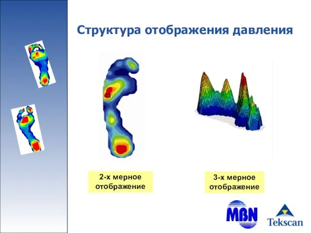 Структура отображения давления 2-х мерное отображение 3-х мерное отображение