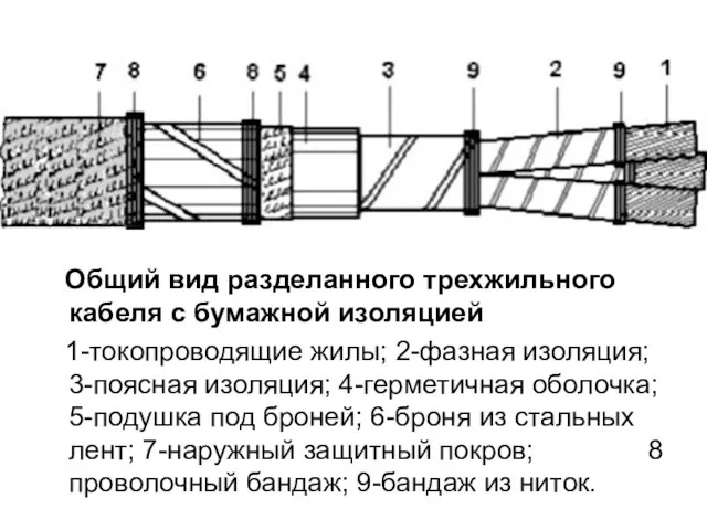 Общий вид разделанного трехжильного кабеля с бумажной изоляцией 1-токопроводящие жилы; 2-фазная изоляция;