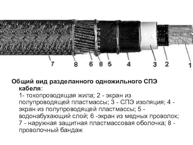 Общий вид разделанного одножильного СПЭ кабеля: 1- токопроводящая жила; 2 - экран