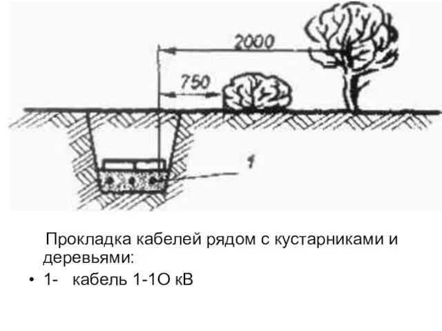 Прокладка кабелей рядом с кустарниками и деревьями: 1- кабель 1-1О кВ