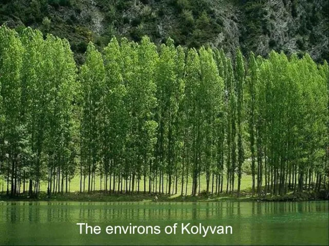 The environs of Kolyvan