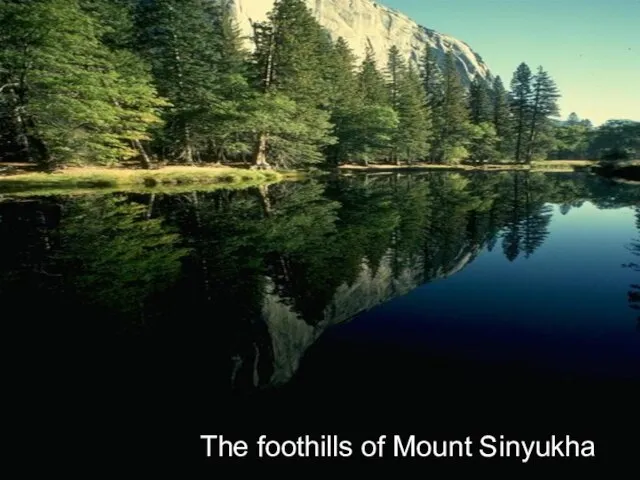 The foothills of Mount Sinyukha