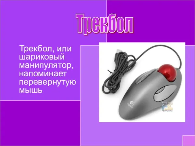 Трекбол, или шариковый манипулятор, напоминает перевернутую мышь Трекбол