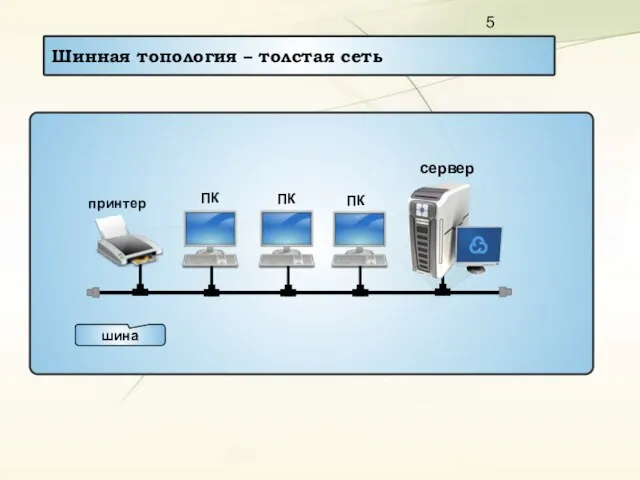 Шинная топология – толстая сеть