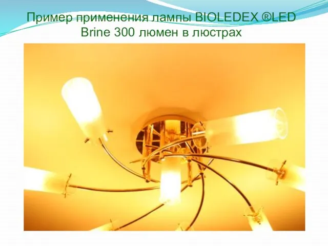 Пример применения лампы BIOLEDEX ®LED Brine 300 люмен в люстрах