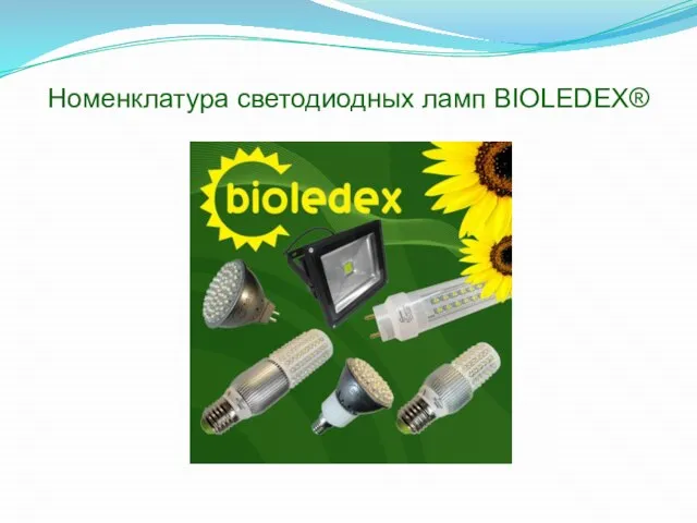 Номенклатура светодиодных ламп BIOLEDEX®