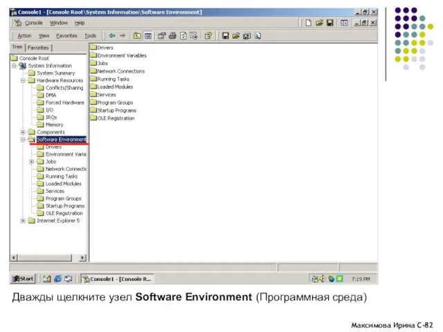 Дважды щелкните узел Software Environment (Программная среда)