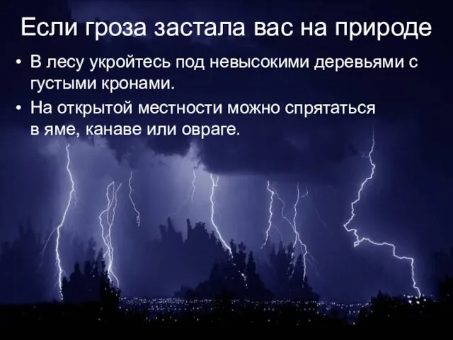 Если гроза застала вас на природе В лесу укройтесь под невысокими деревьями