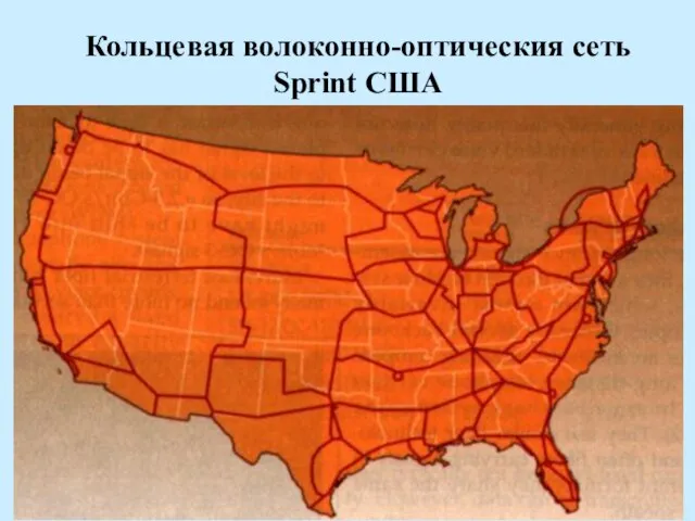 Кольцевая волоконно-оптическия сеть Sprint США