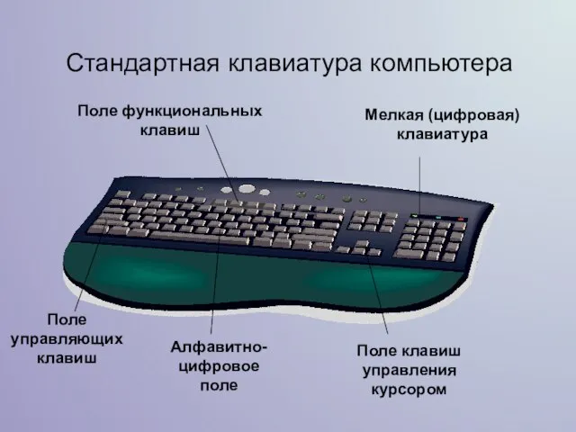 Стандартная клавиатура компьютера Поле функциональных клавиш Поле управляющих клавиш Поле клавиш управления