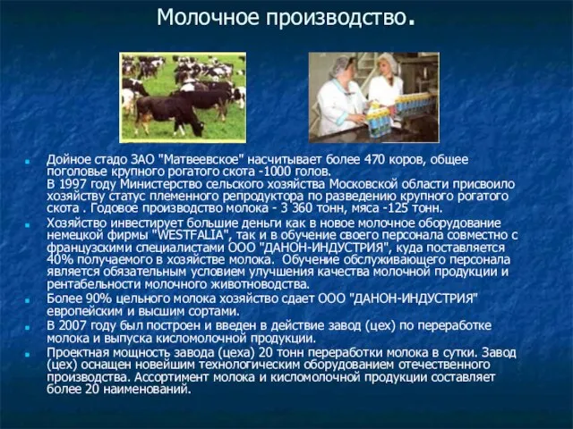 Молочное производство. Дойное стадо ЗАО "Матвеевское" насчитывает более 470 коров, общее поголовье